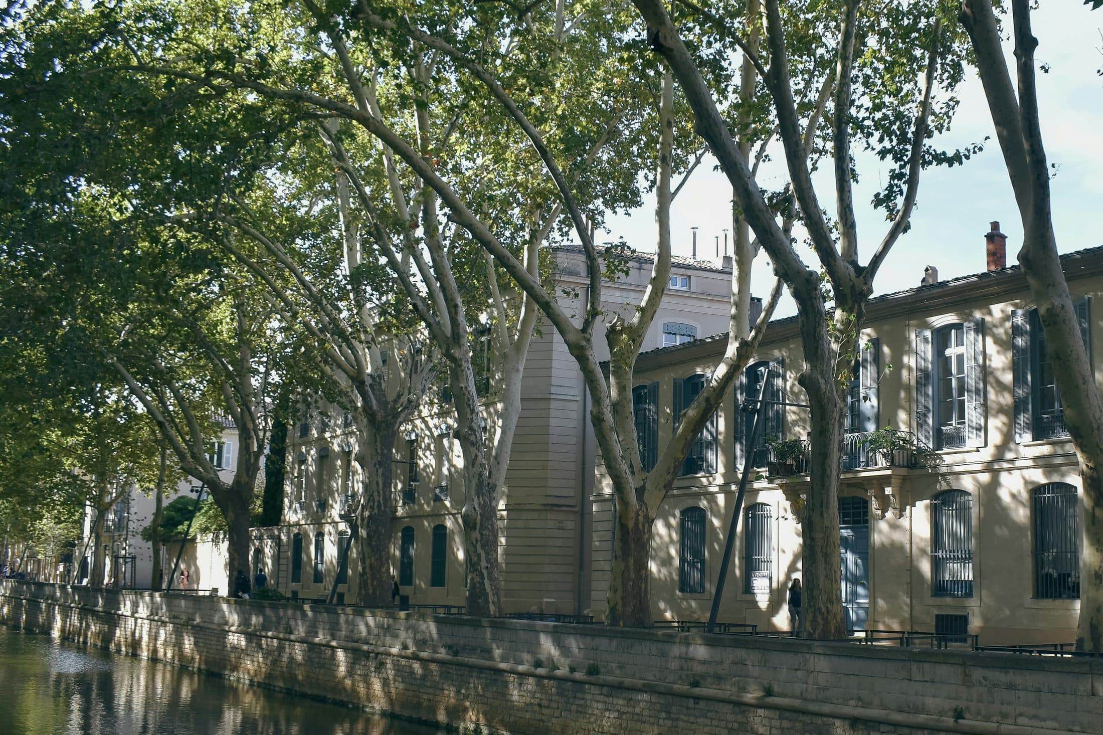 Façades nîmoises alignées le long du canal, sous les platanes